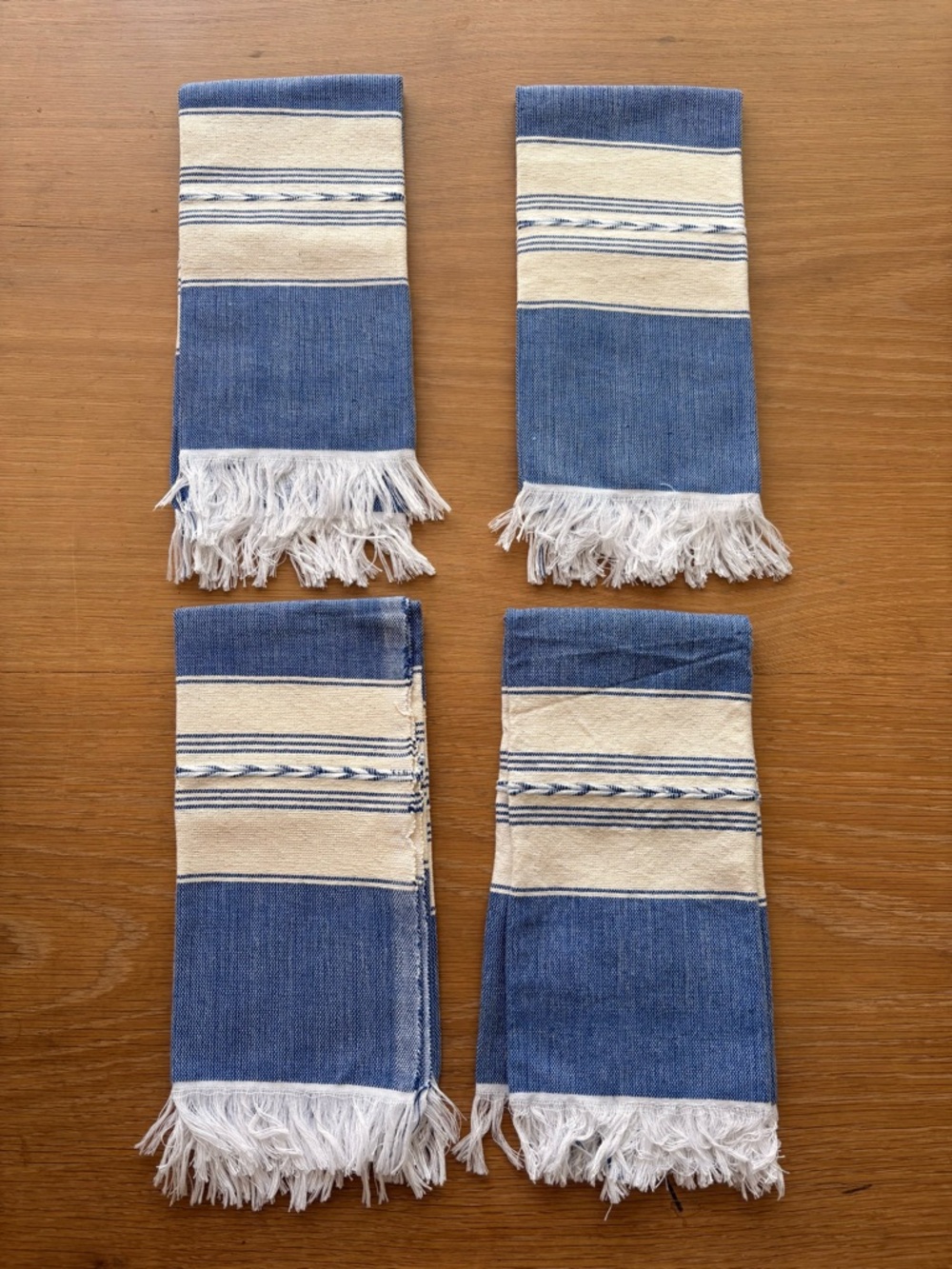 Blue & White Fringed Dinning Napkins - Set of 4